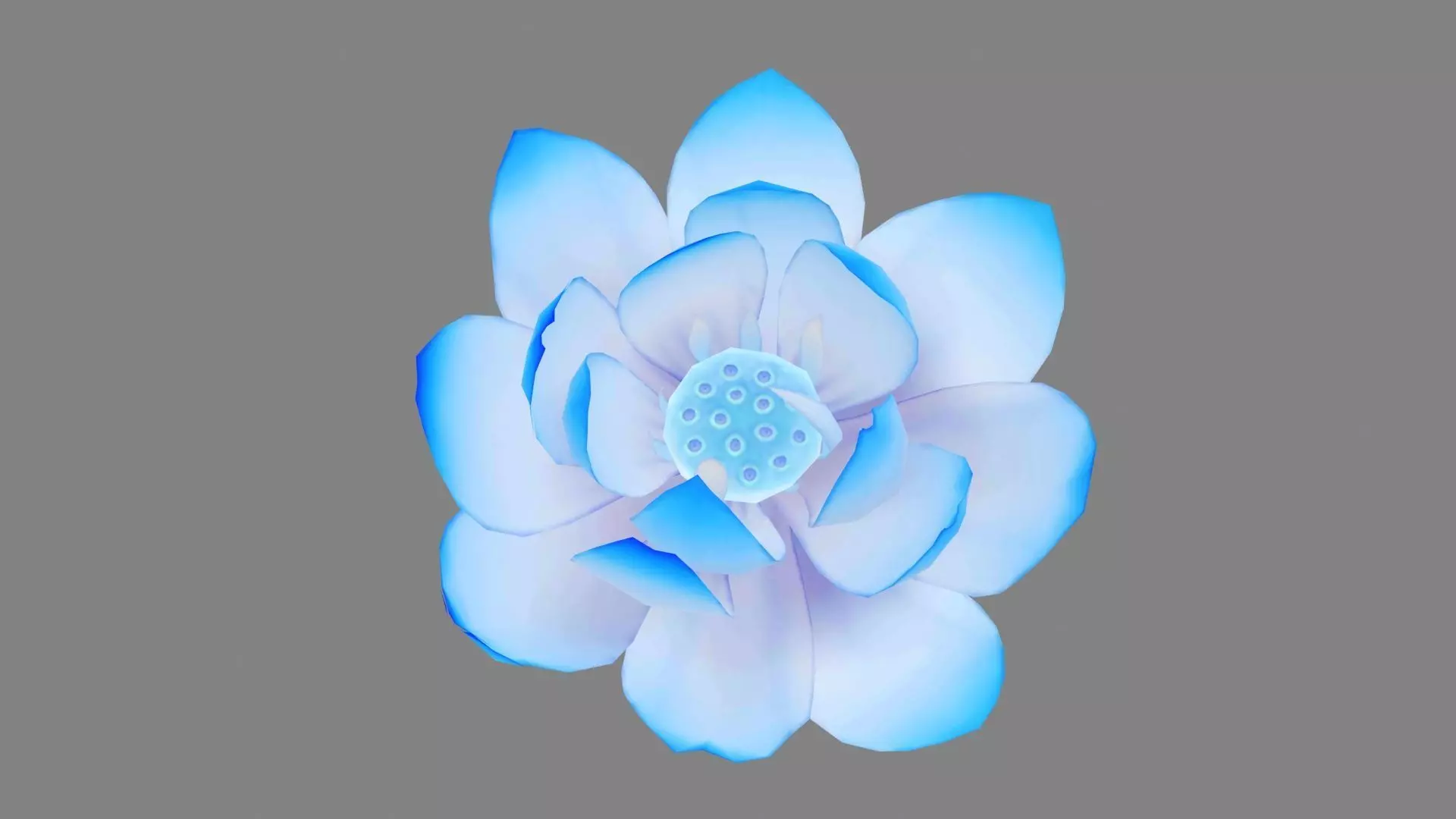 A blue lotus - Cartoon lotus - Open stamens - Mutant lotus Low-poly 3D model_0