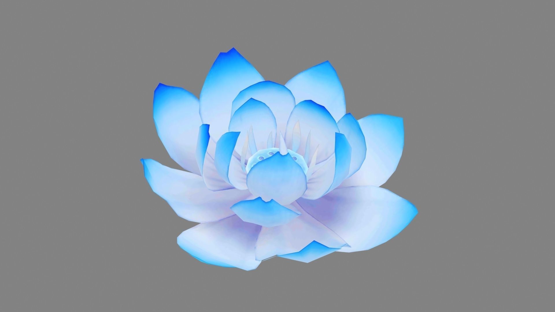 A blue lotus - Cartoon lotus - Open stamens - Mutant lotus Low-poly 3D model_1