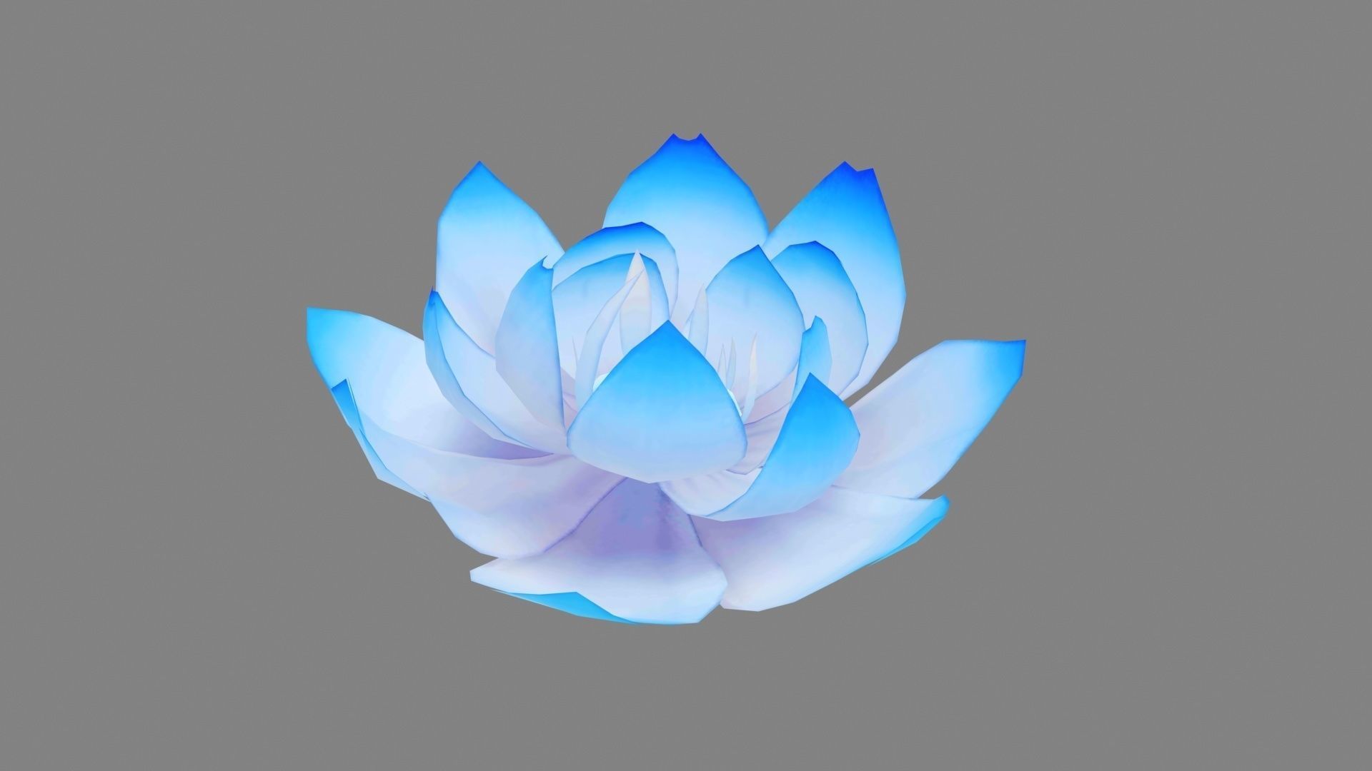 A blue lotus - Cartoon lotus - Open stamens - Mutant lotus Low-poly 3D model_3