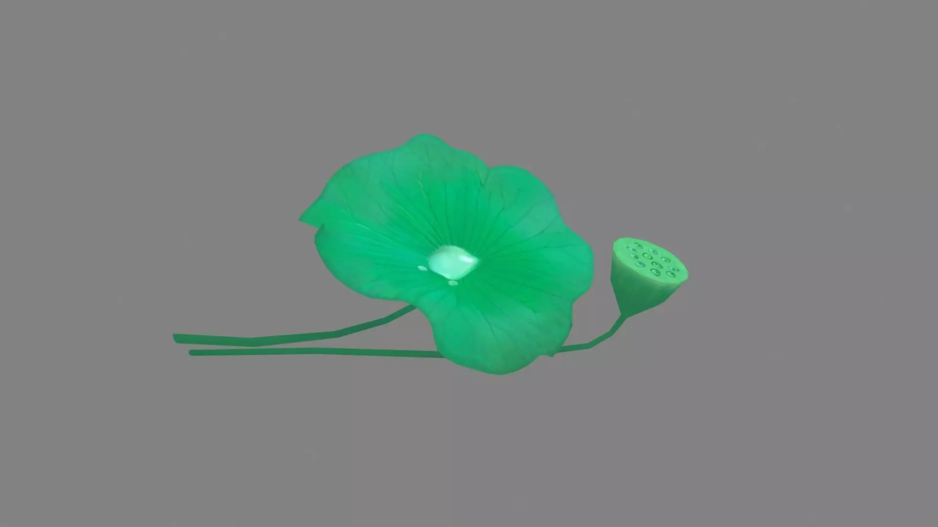 Cartoon lotus leaf and lotus seedpod Low-poly 3D model_0