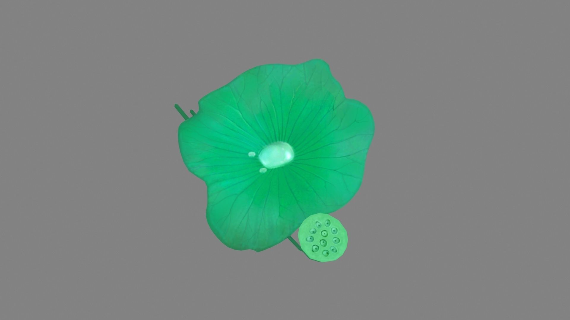Cartoon lotus leaf and lotus seedpod Low-poly 3D model_1