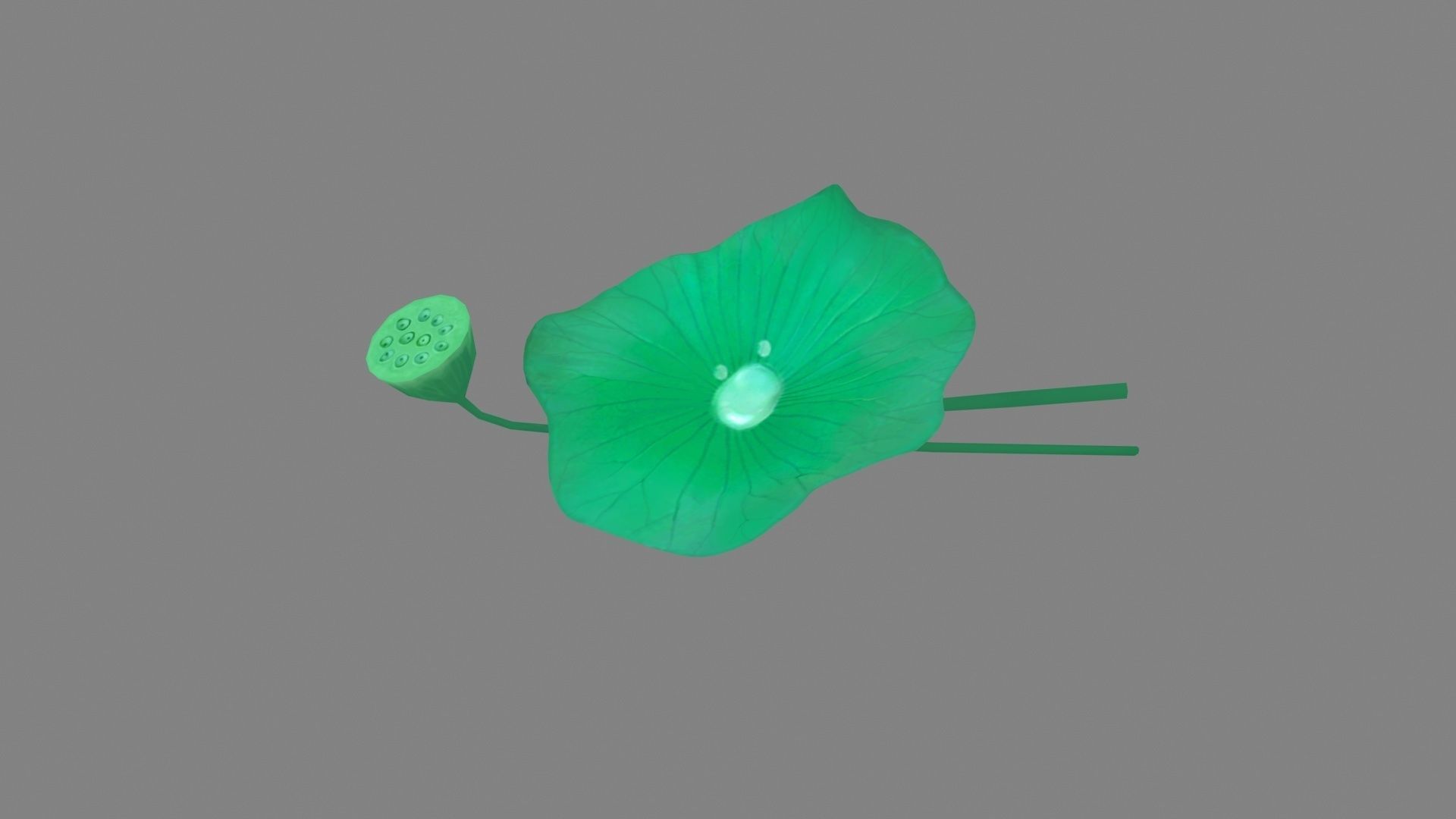 Cartoon lotus leaf and lotus seedpod Low-poly 3D model_2