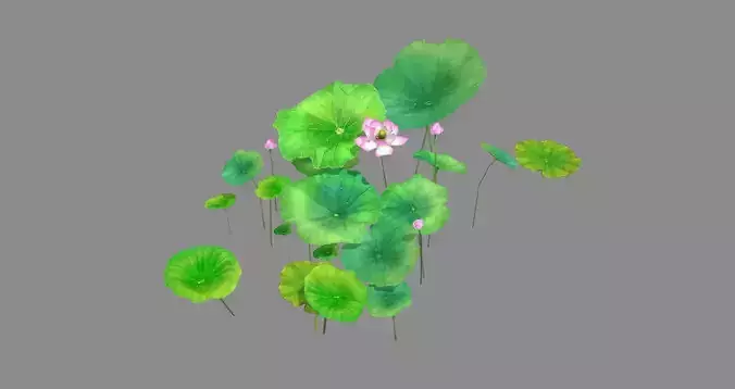 Cartoon lotus flowers and lotus leaves - A