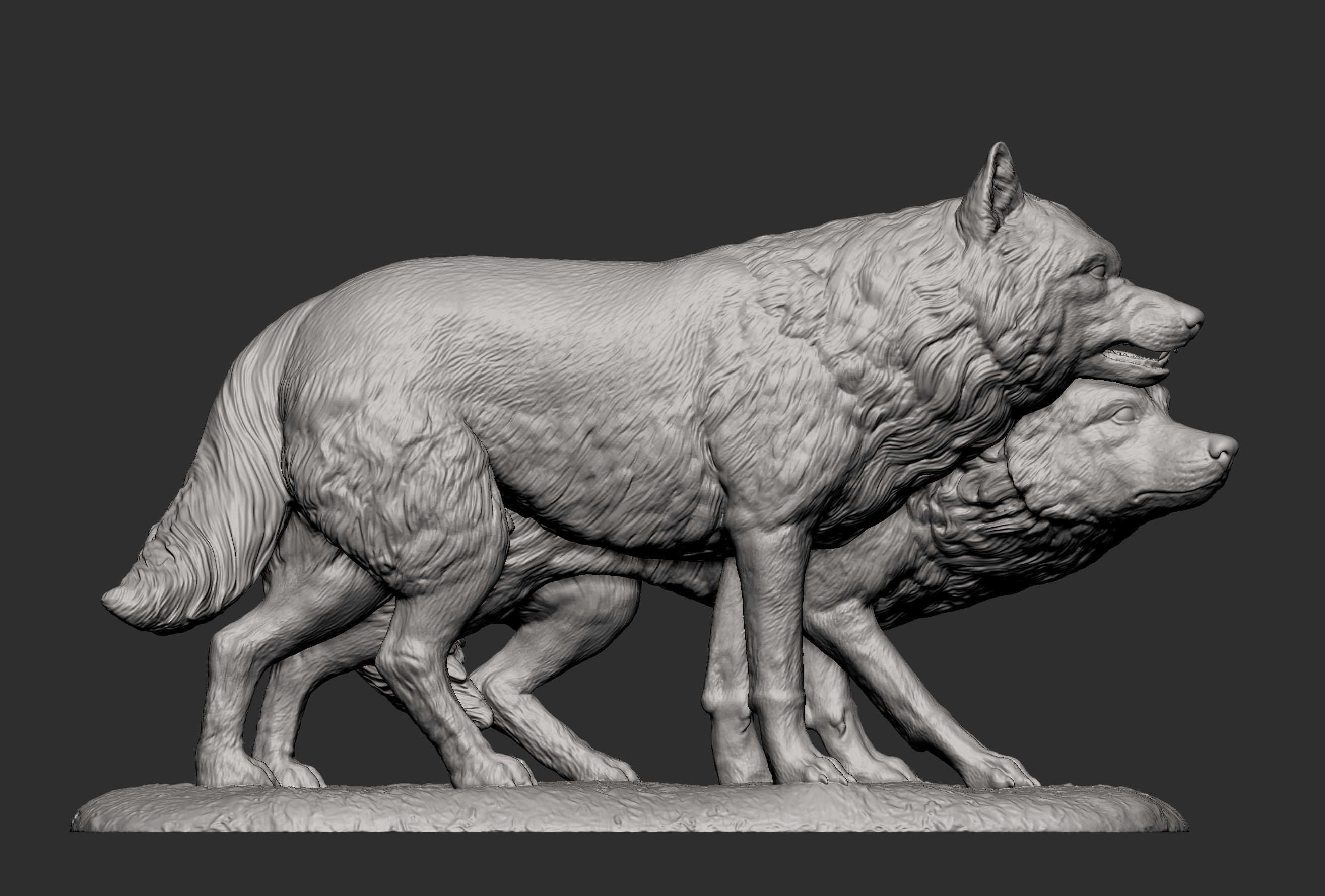 Wolf and she-wolf 3D print model_11