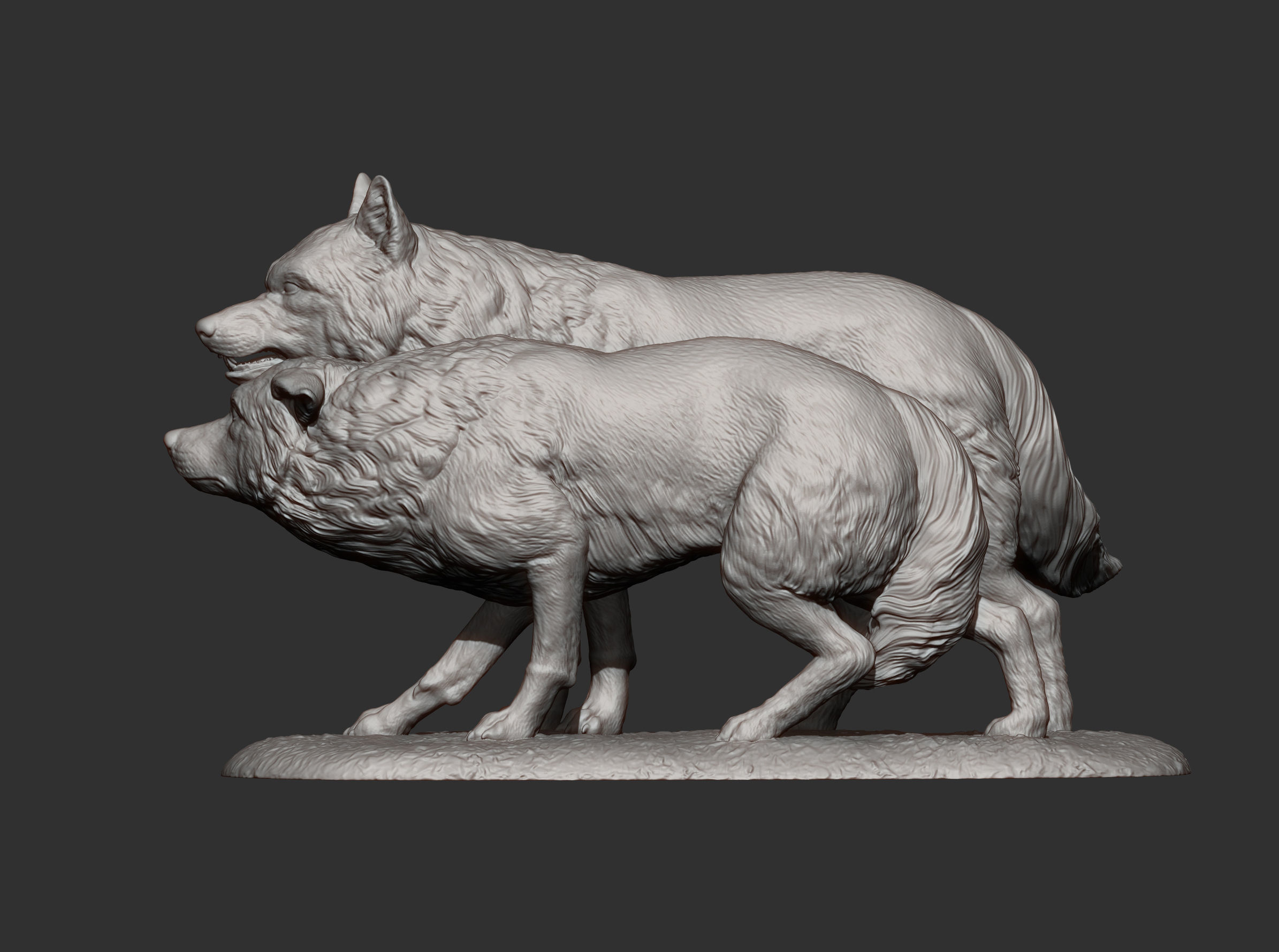 Wolf and she-wolf 3D print model_9
