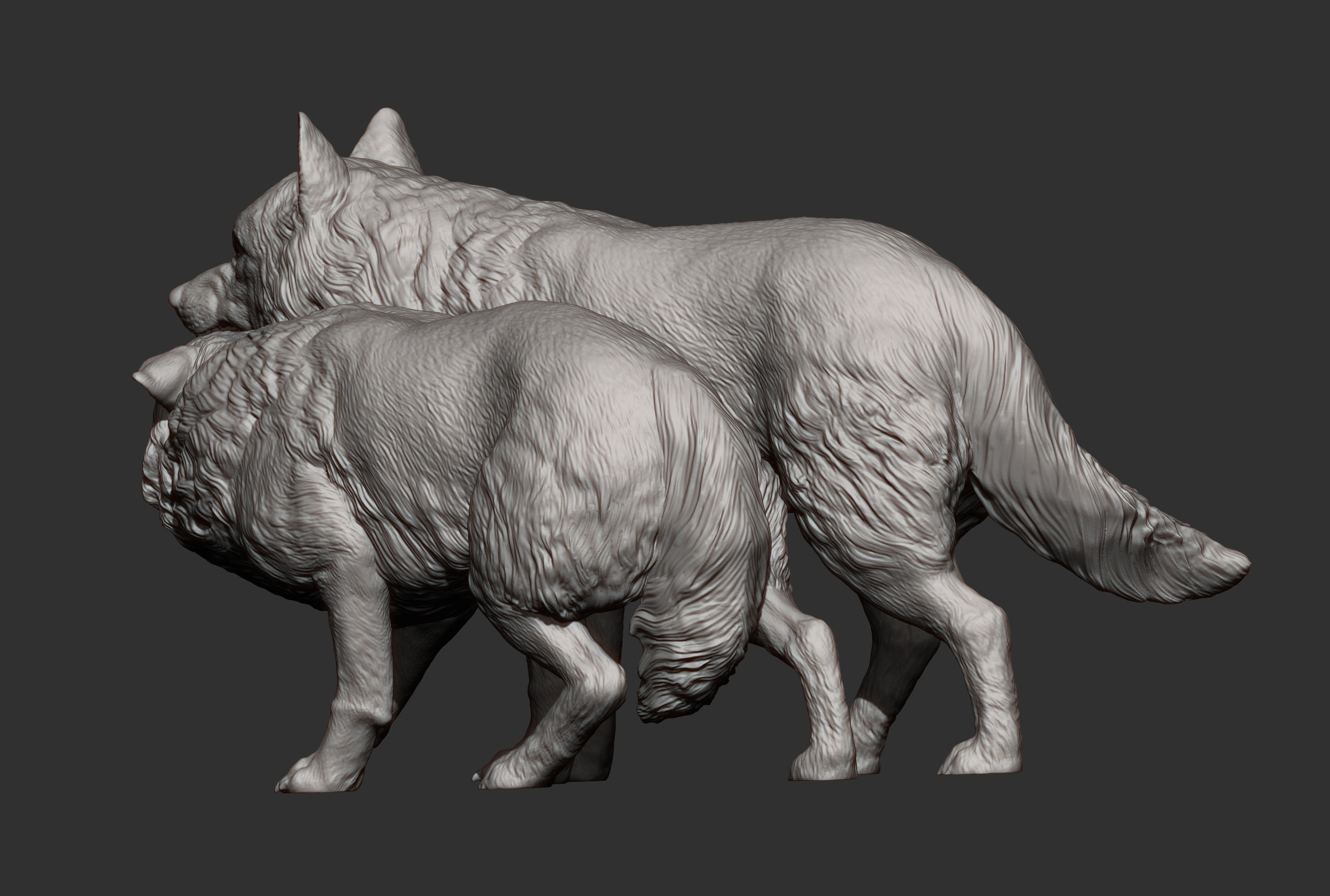 Wolf and she-wolf 3D print model_7