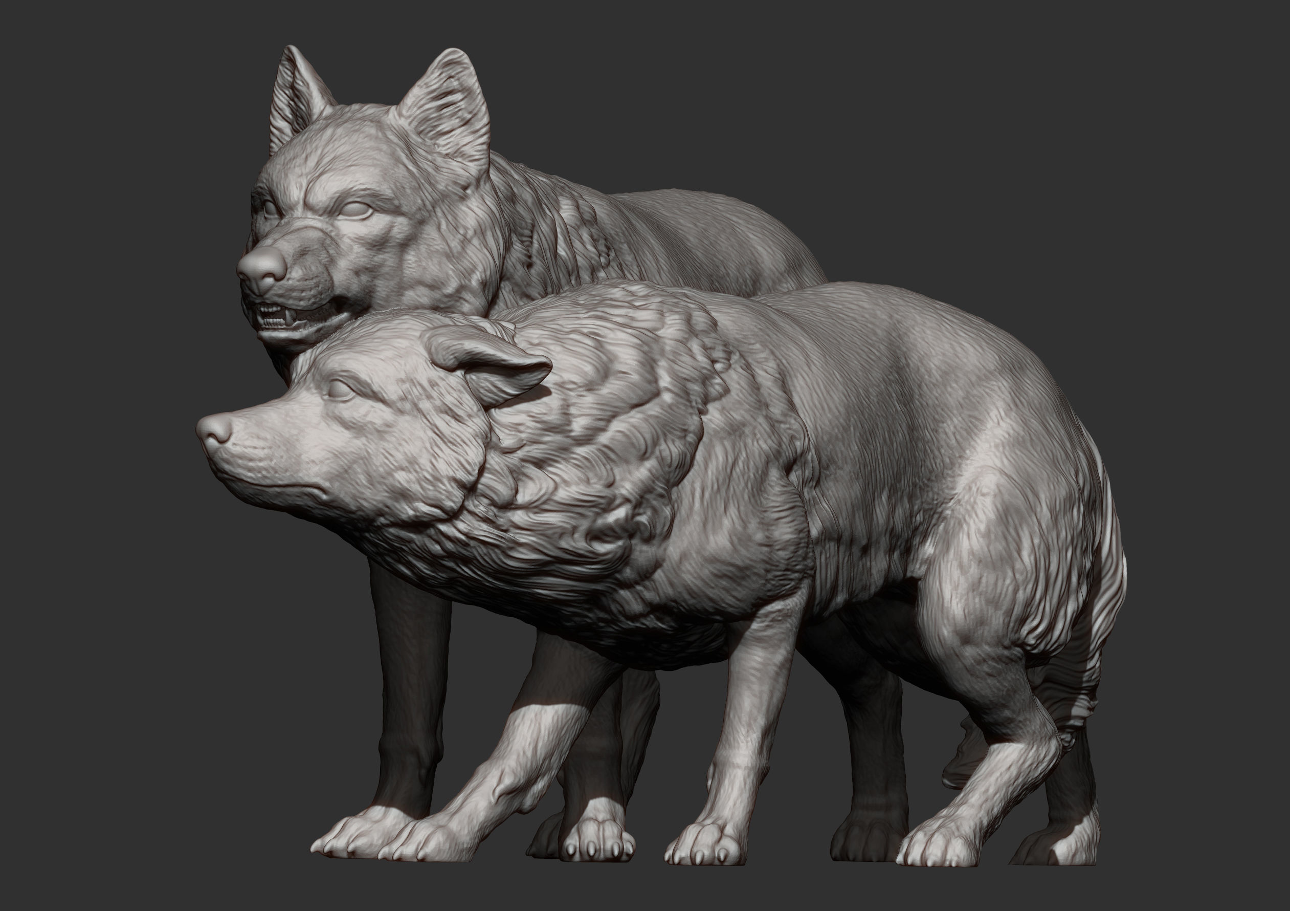 Wolf and she-wolf 3D print model_10