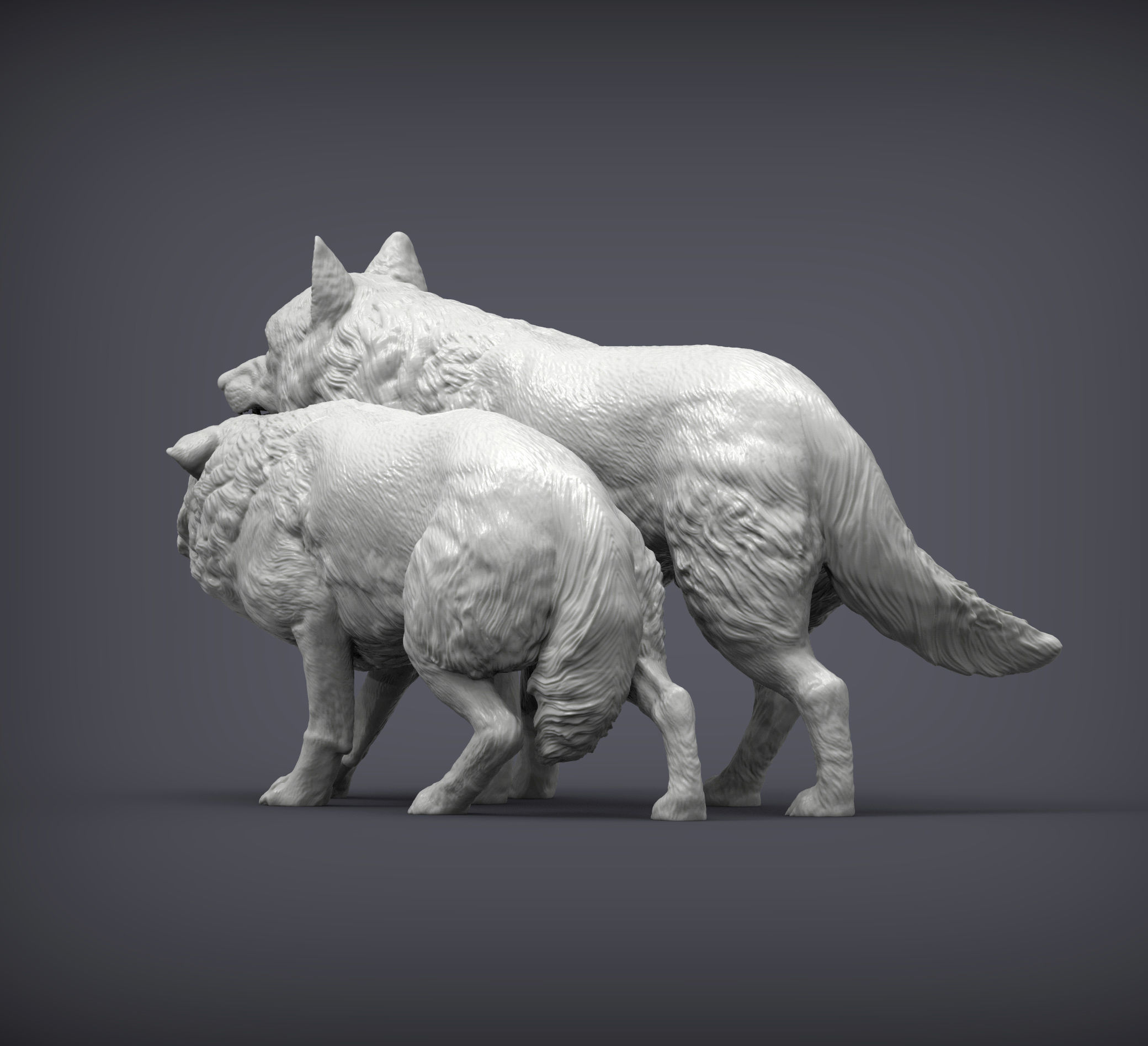 Wolf and she-wolf 3D print model_3