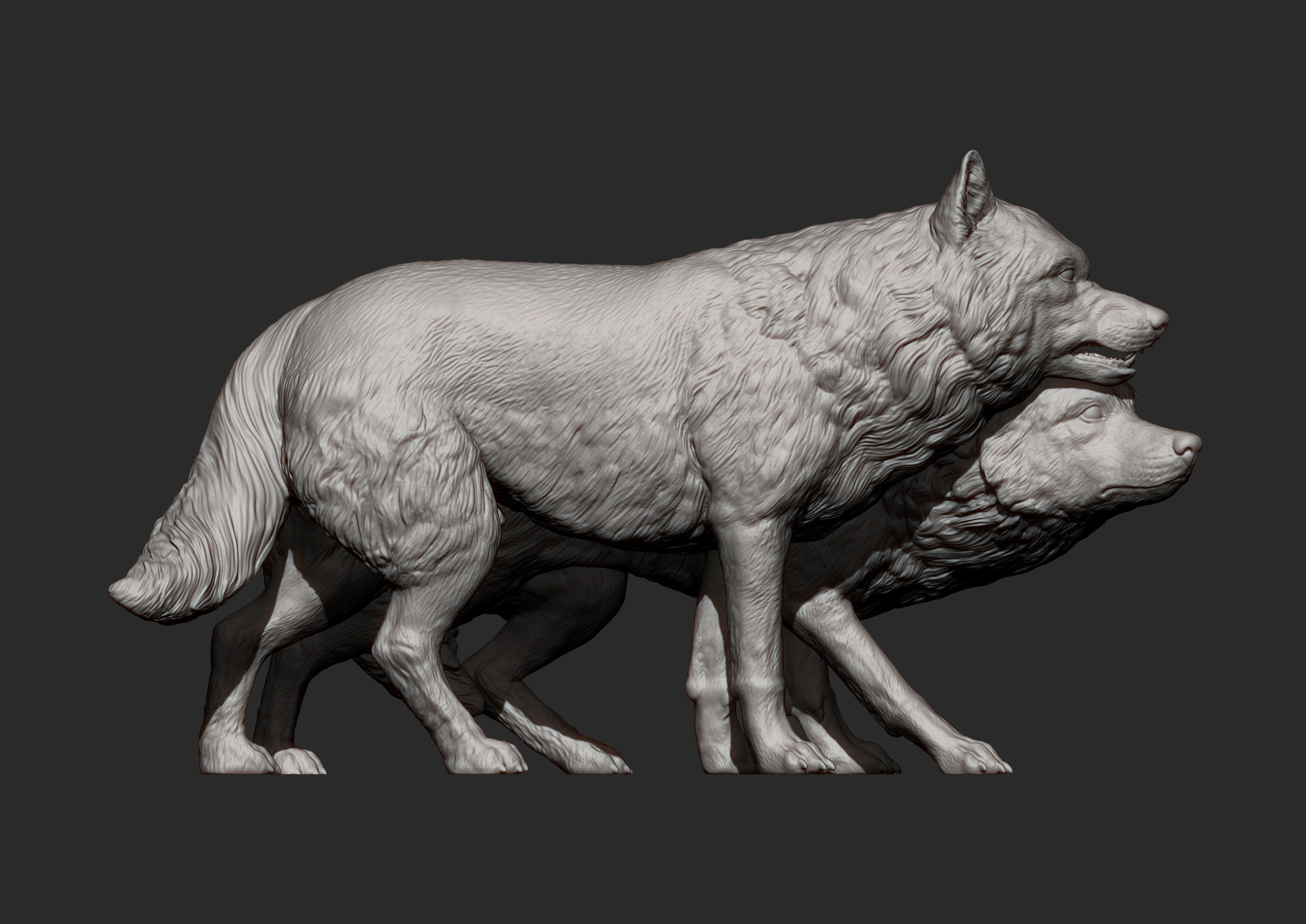 Wolf and she-wolf 3D print model_8