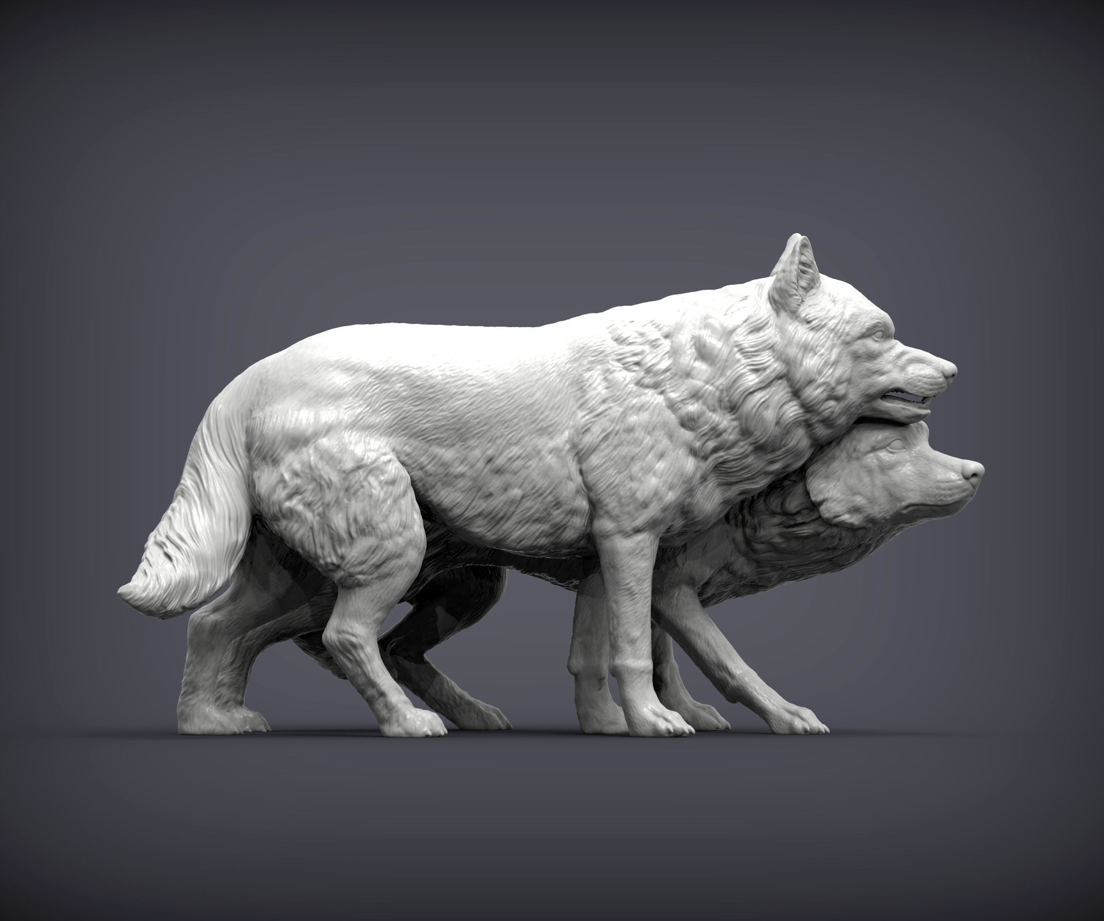 Wolf and she-wolf 3D print model_1