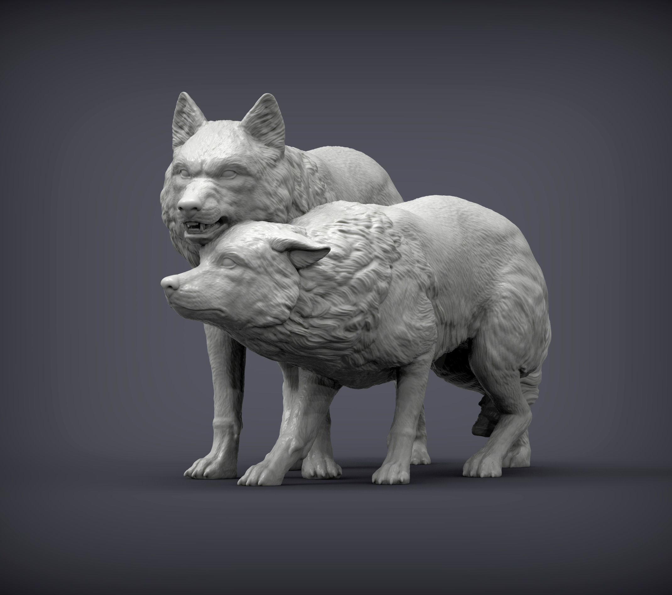 Wolf and she-wolf 3D print model_5