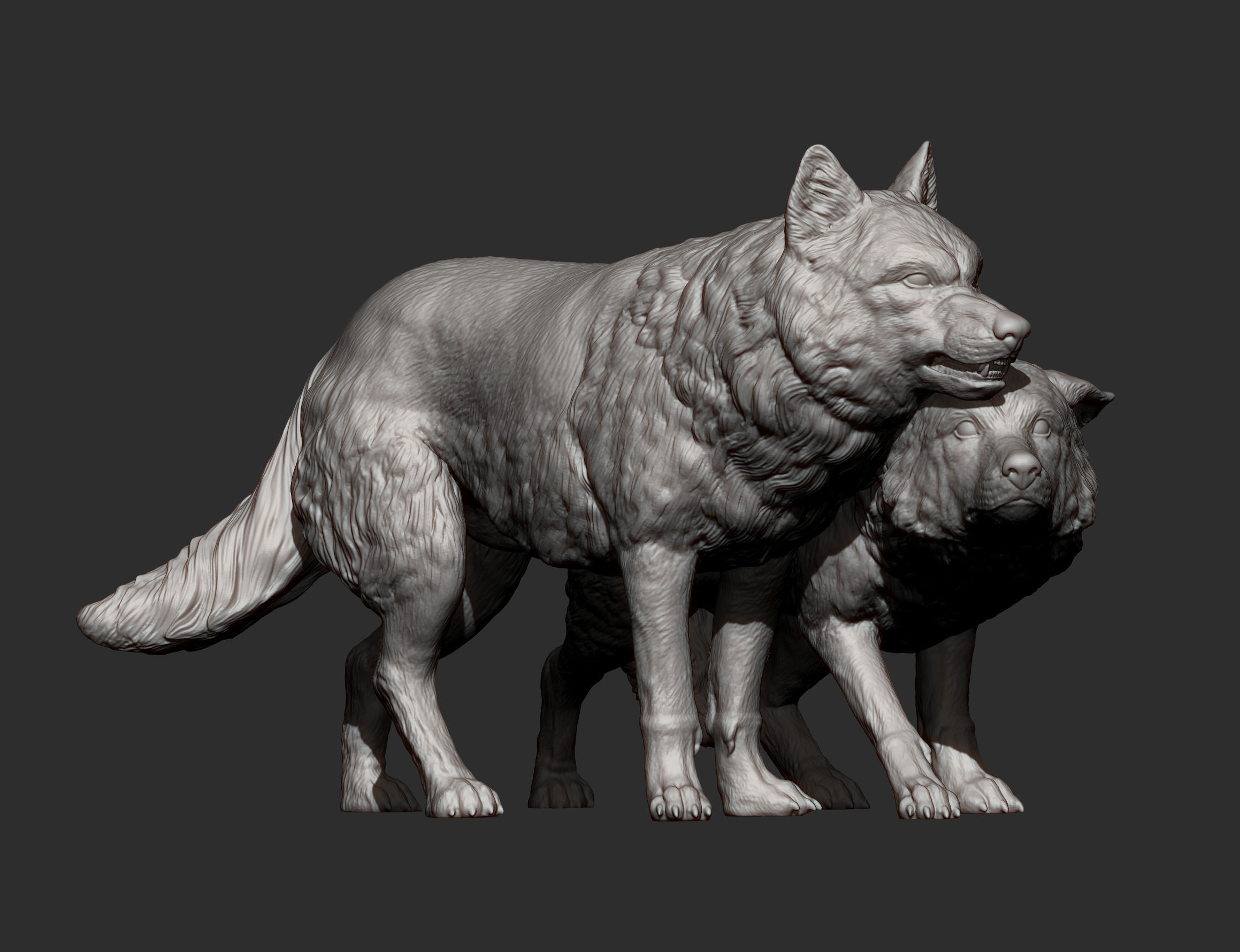 Wolf and she-wolf 3D print model_13