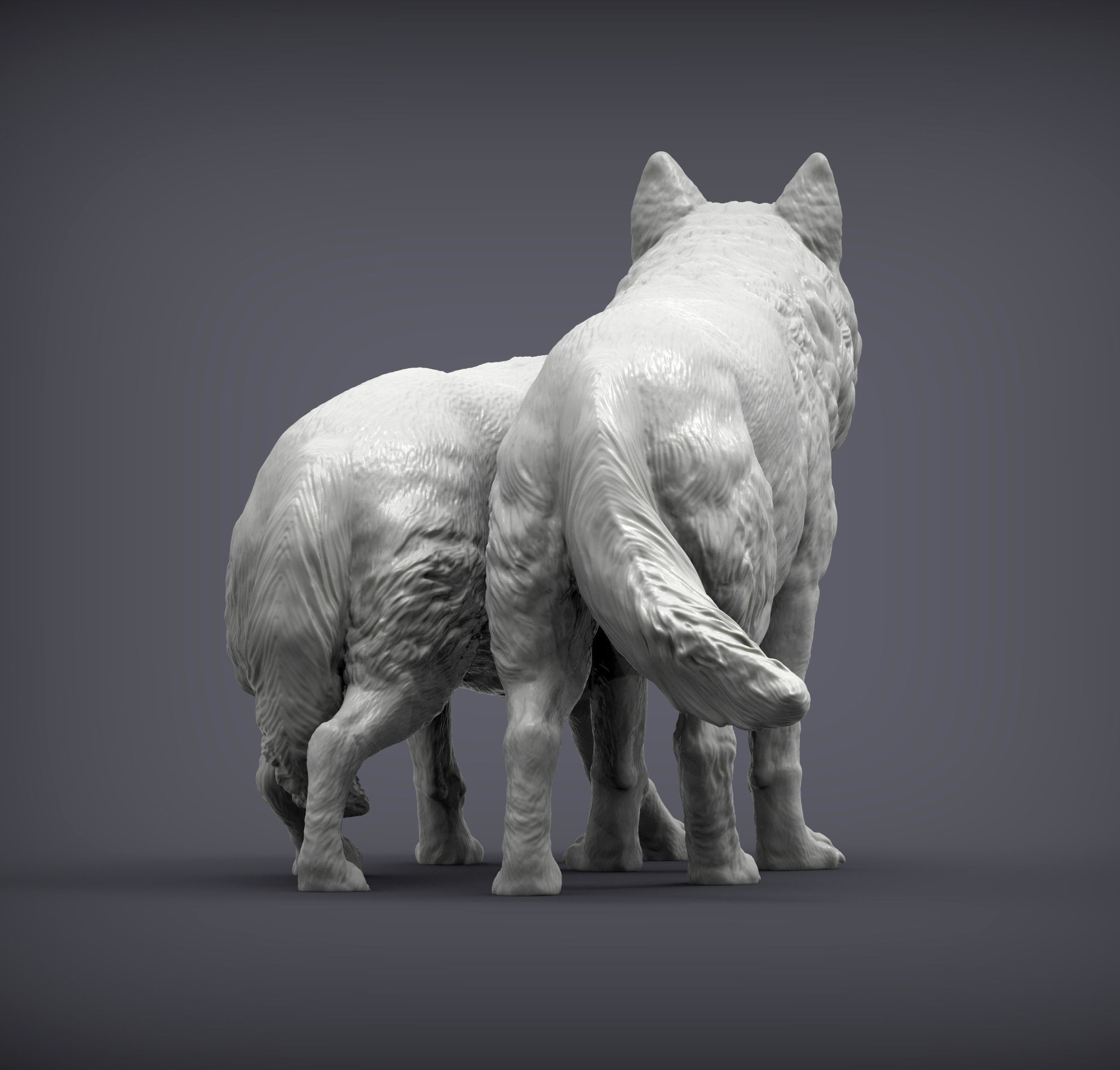 Wolf and she-wolf 3D print model_4