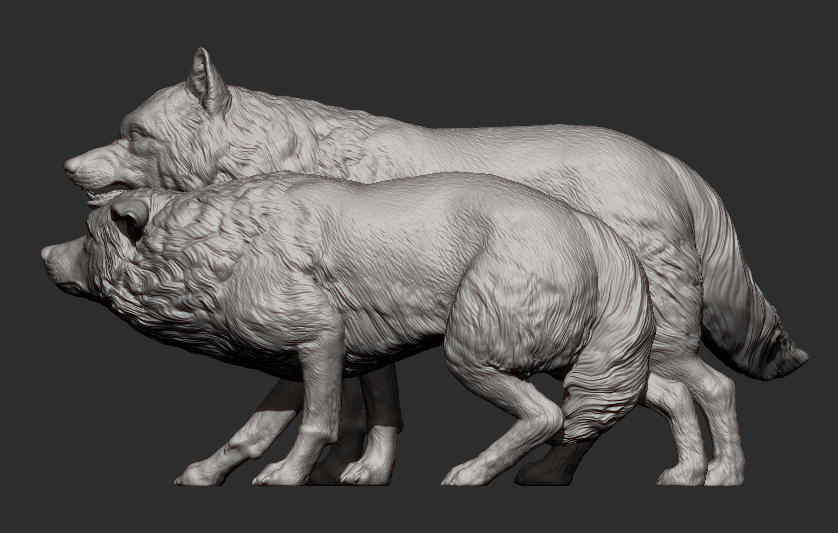 Wolf and she-wolf 3D print model_12