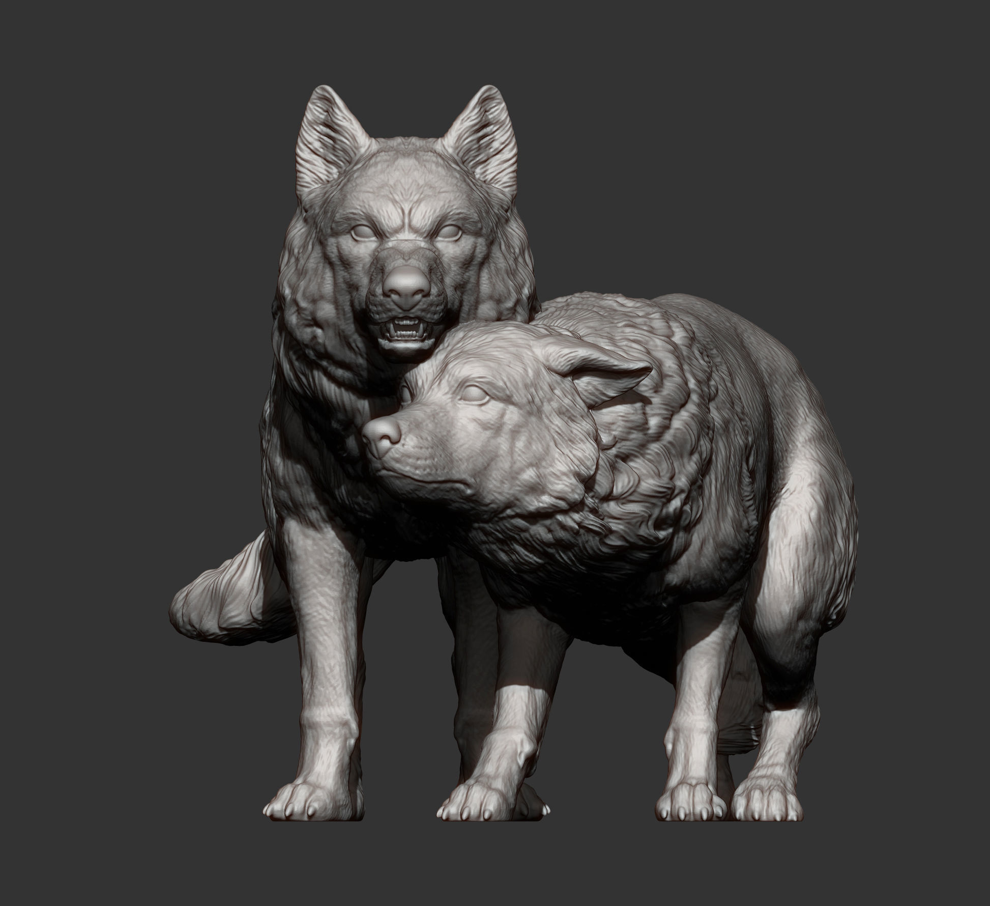 Wolf and she-wolf 3D print model_6