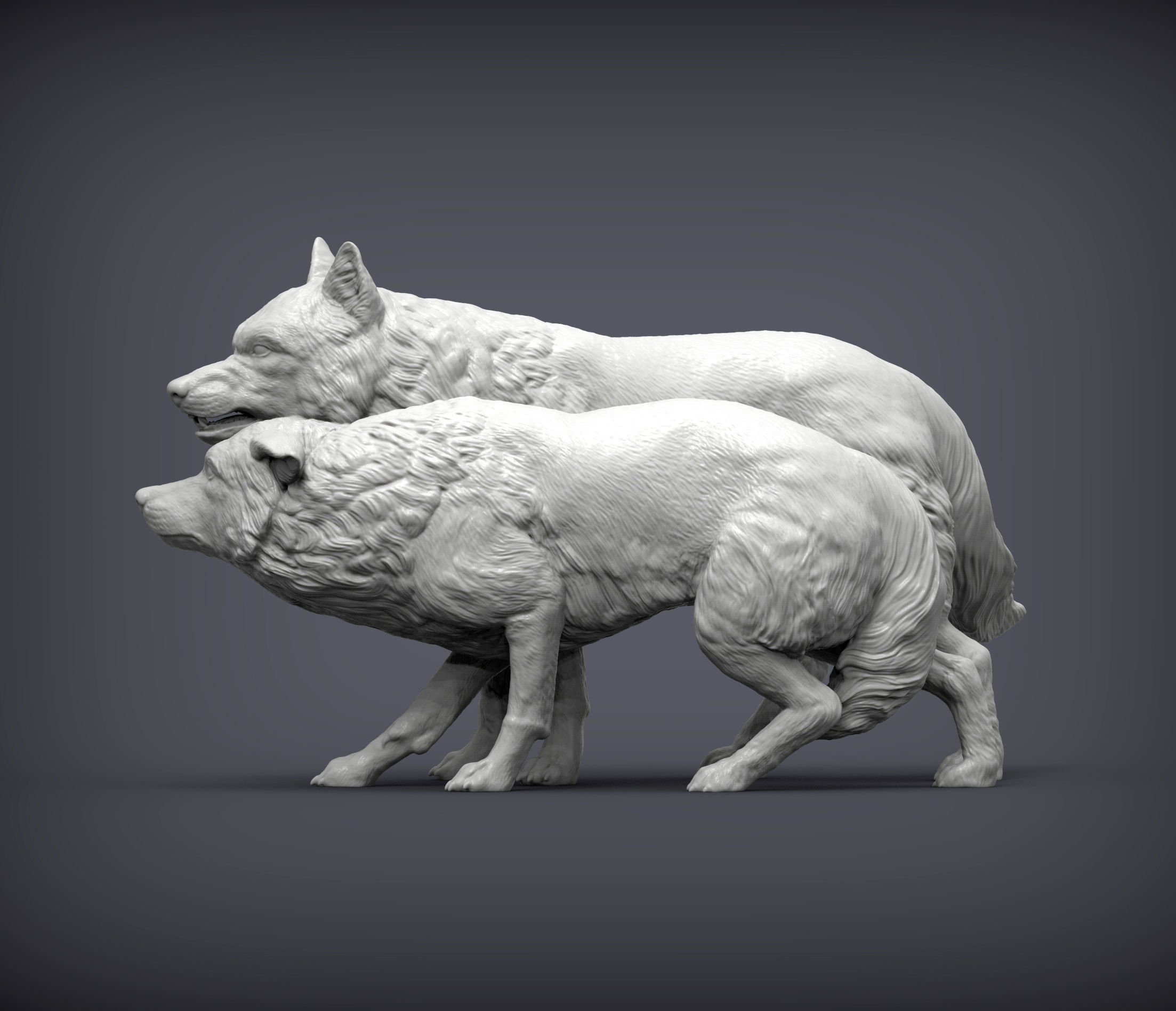 Wolf and she-wolf 3D print model_2