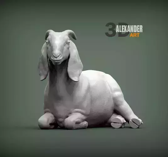 Boer Goats female lies