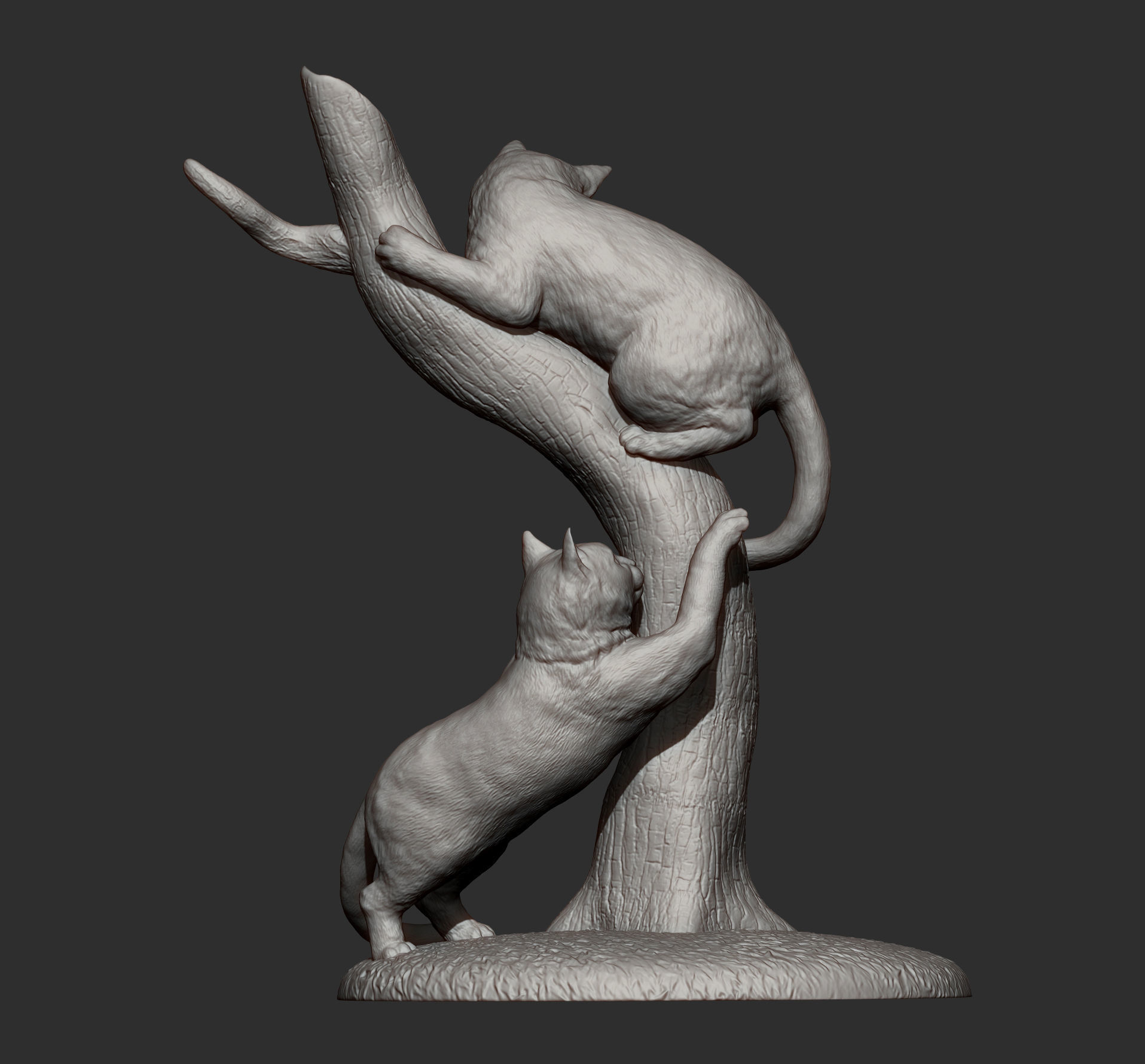 Cats play 3D print model_15