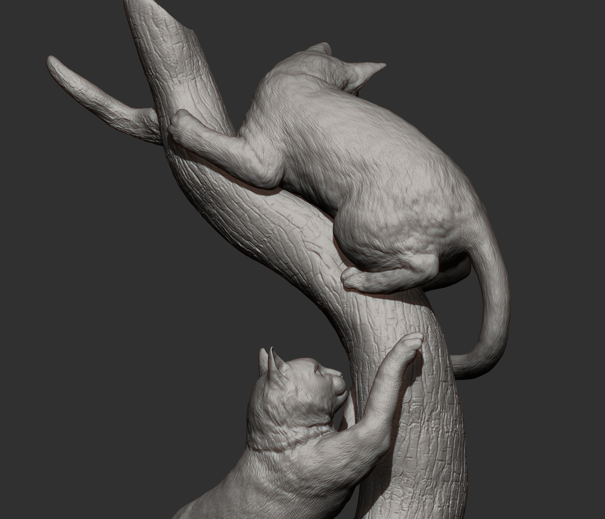 Cats play 3D print model_11