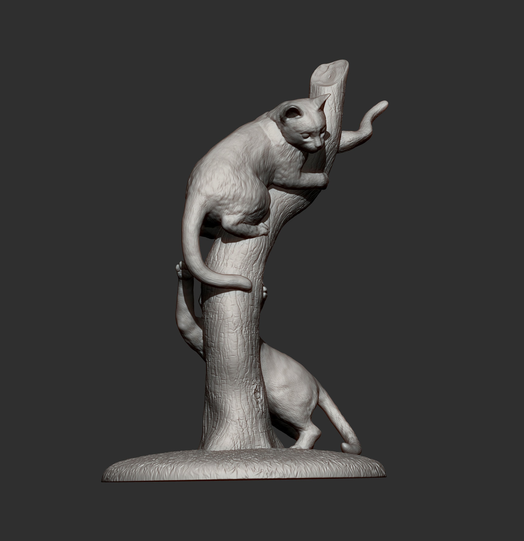 Cats play 3D print model_8