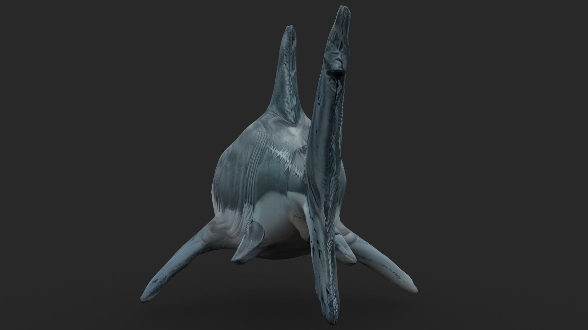 Shark Cartoons Low-poly 3D model_5