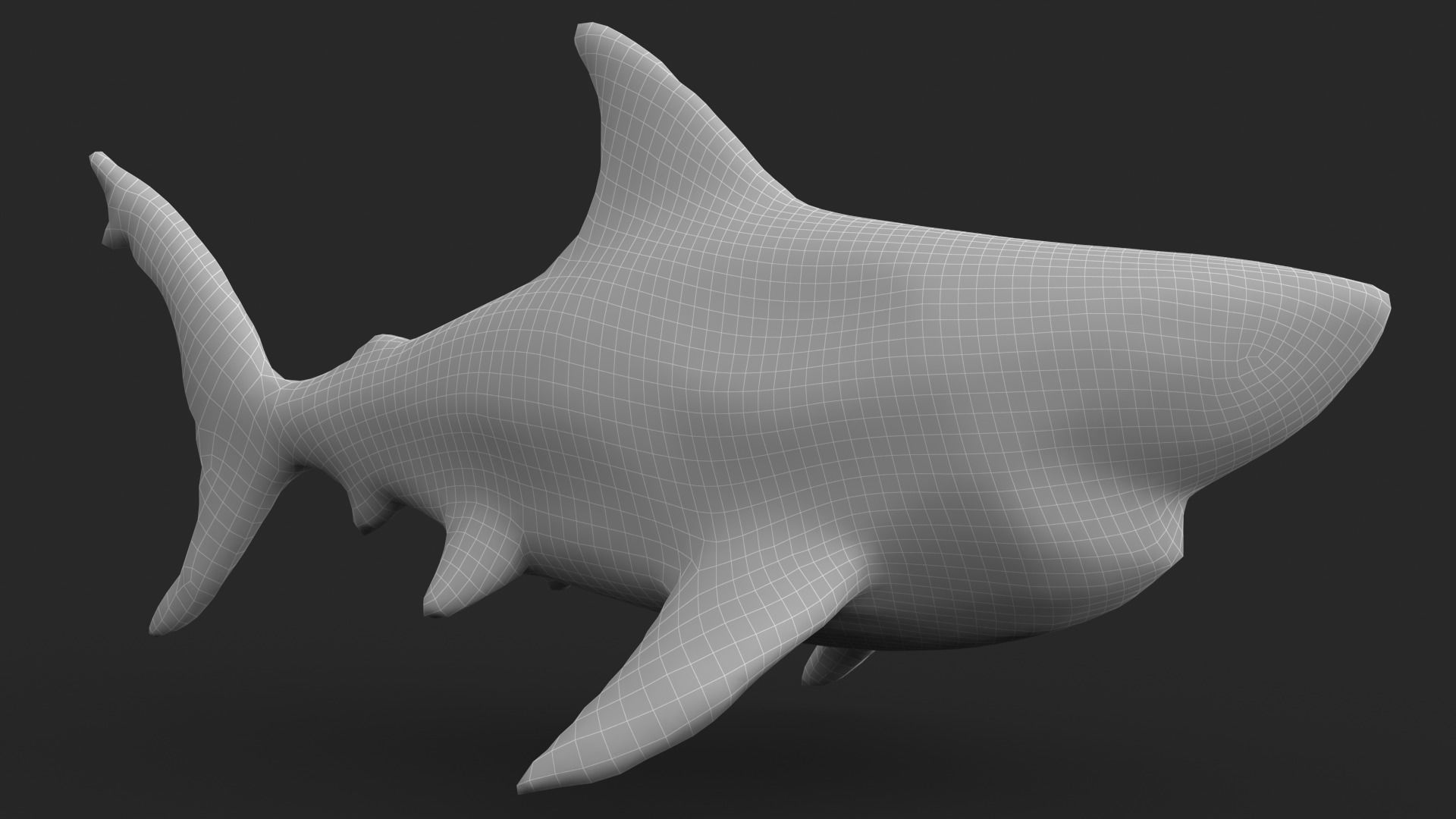 Shark Cartoons Low-poly 3D model_18