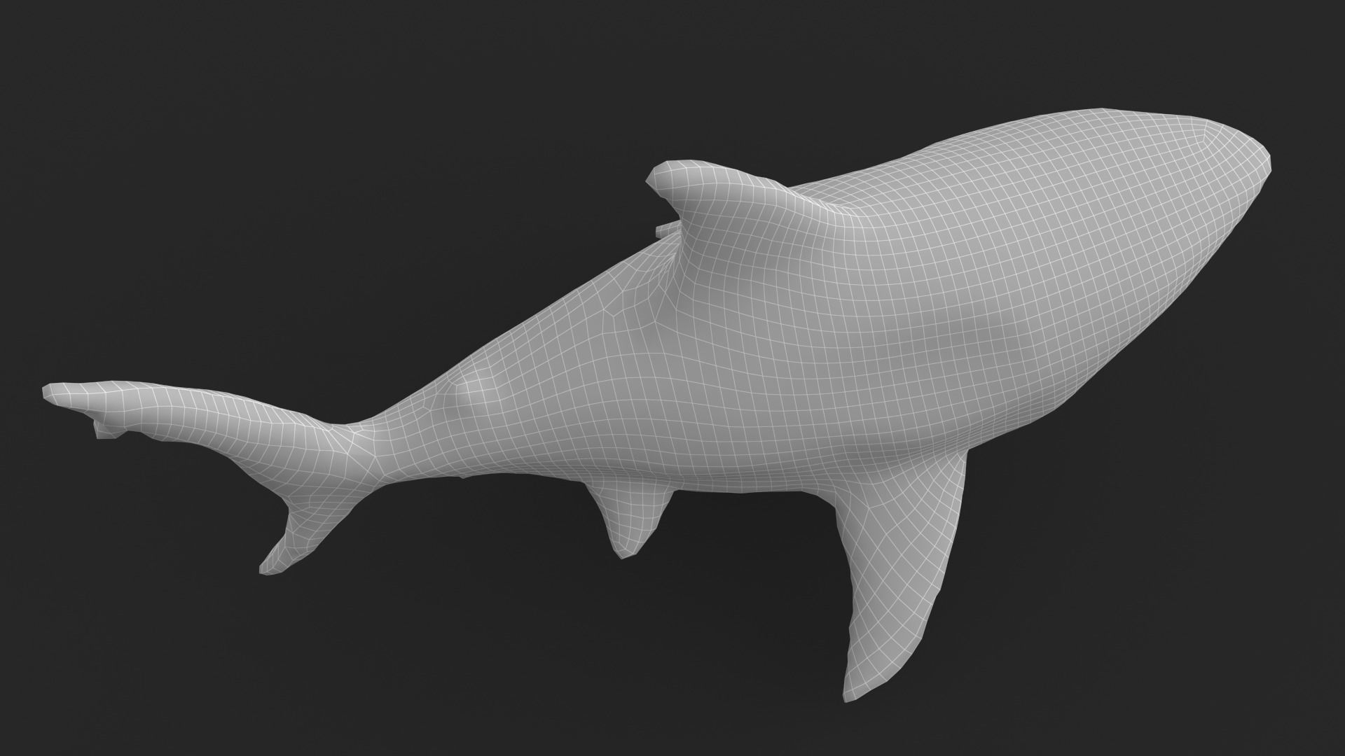 Shark Cartoons Low-poly 3D model_19