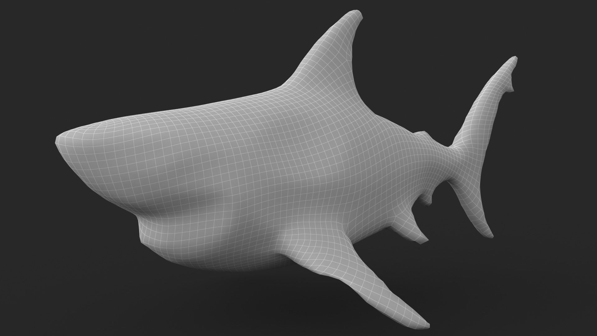 Shark Cartoons Low-poly 3D model_17
