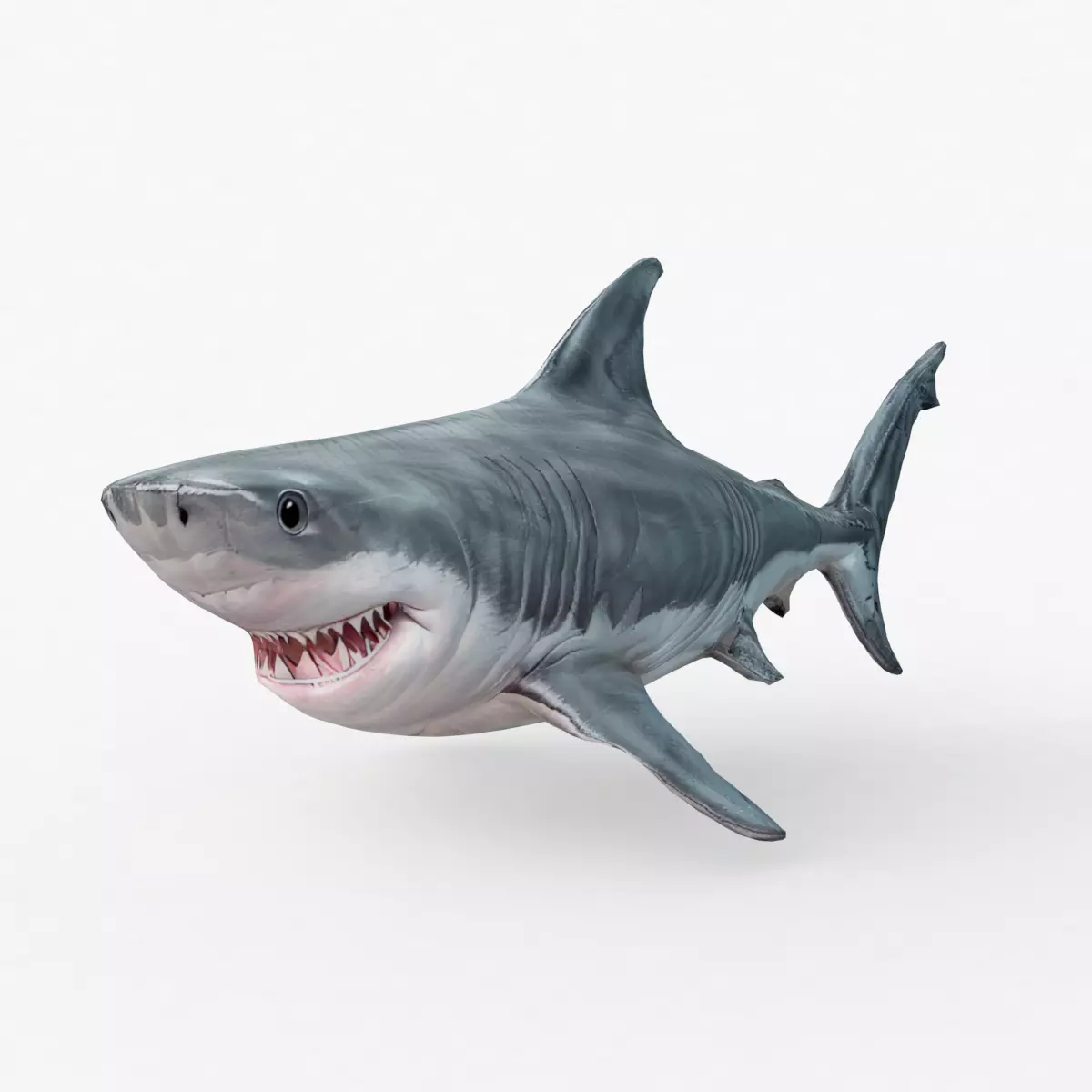Shark Cartoons Low-poly 3D model_0