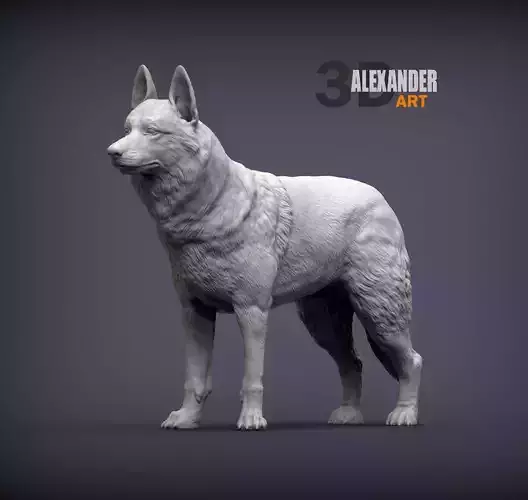 Czechoslovakian wolfdog