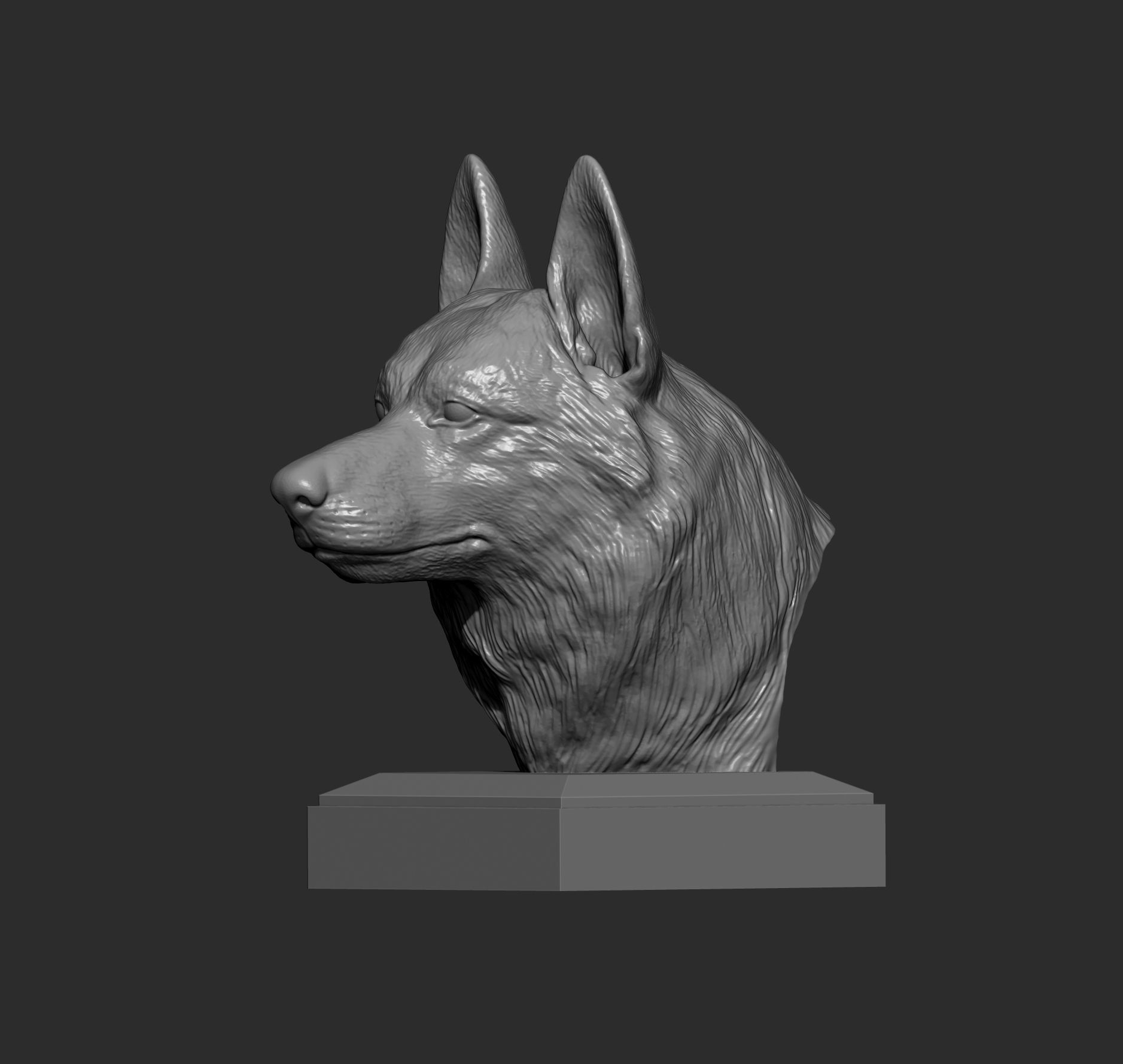 Czechoslovakian wolfdog bust 3D print model_3