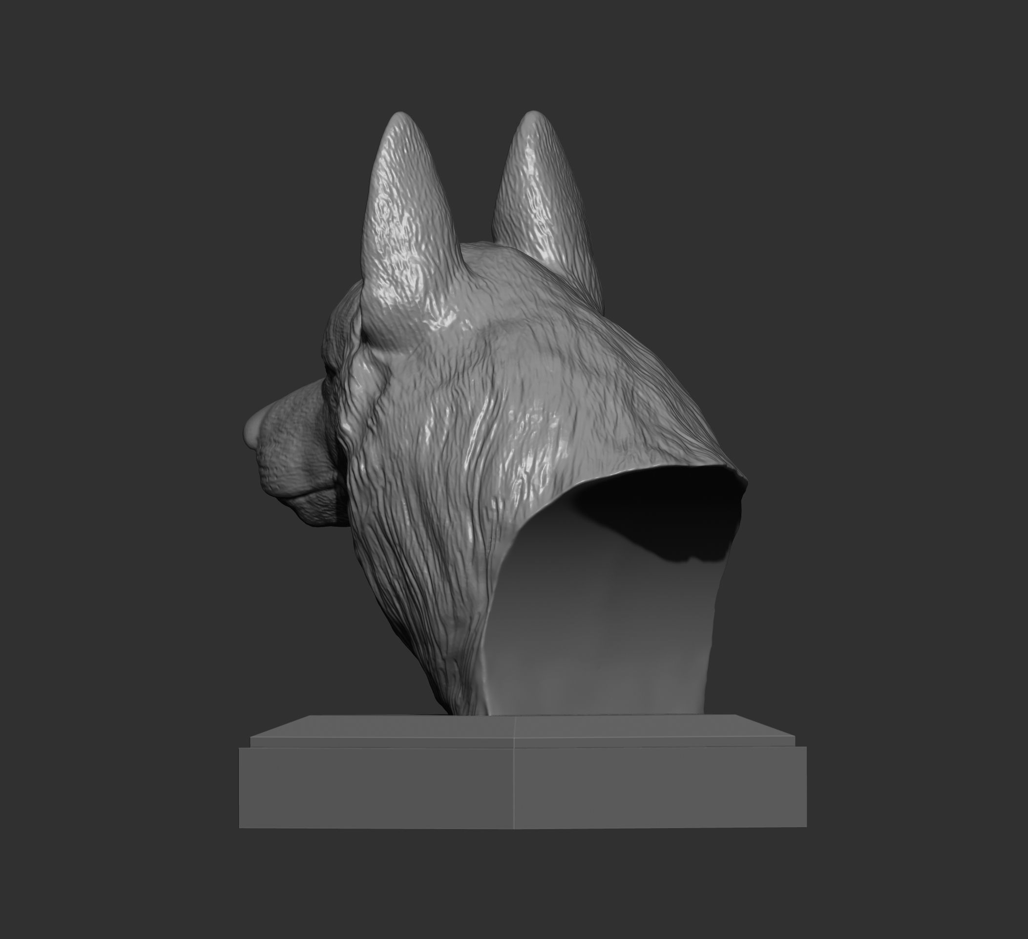 Czechoslovakian wolfdog bust 3D print model_6