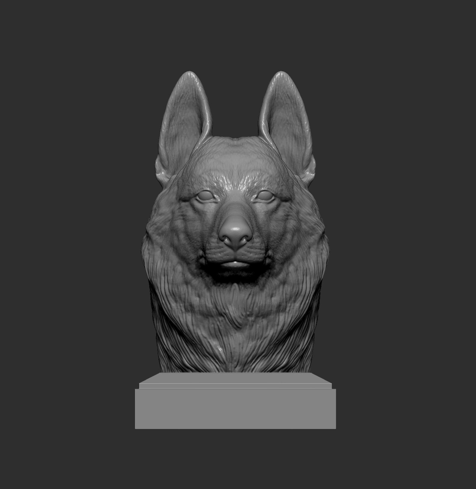 Czechoslovakian wolfdog bust 3D print model_5