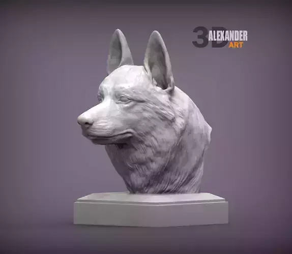 Czechoslovakian wolfdog bust