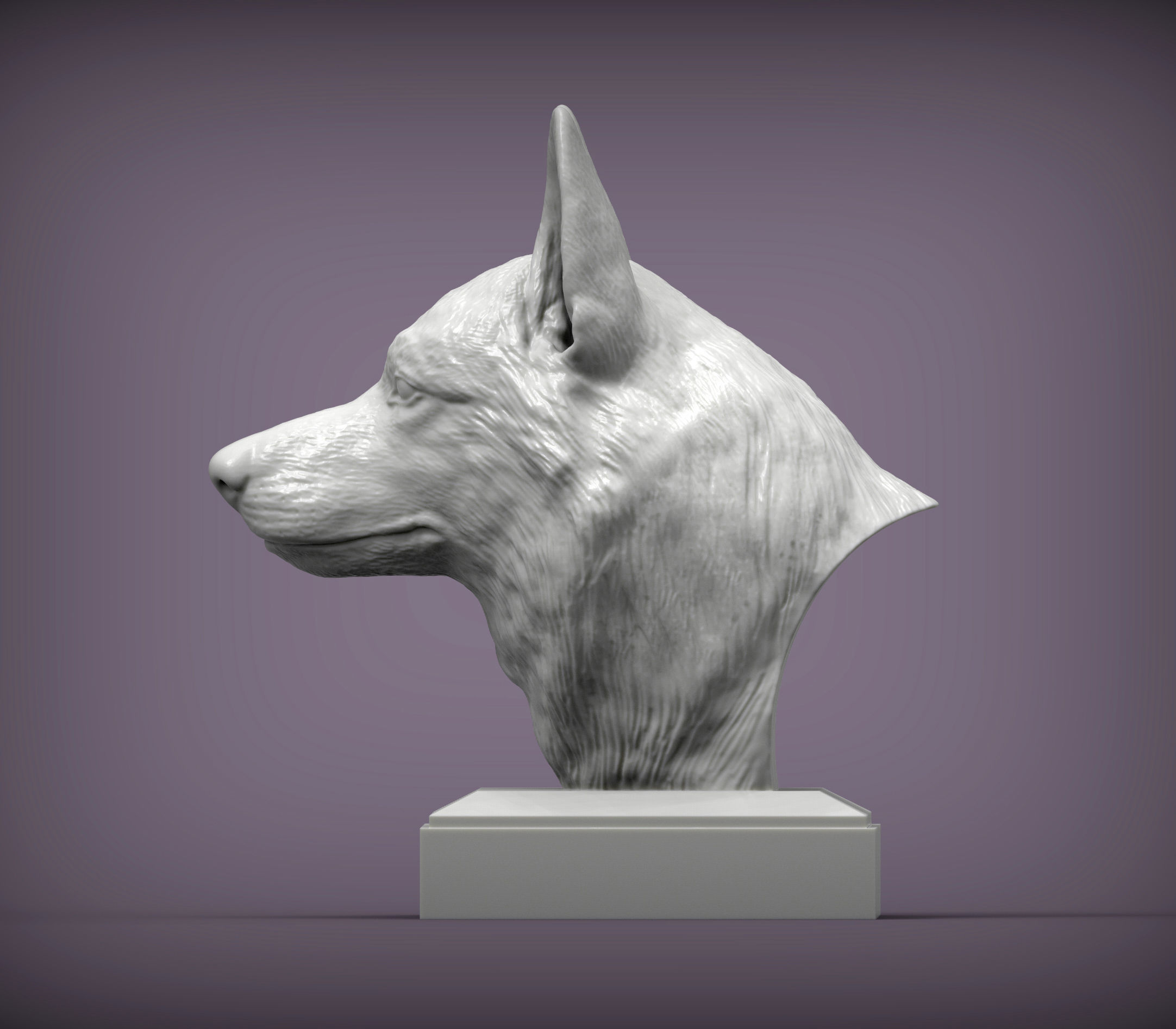 Czechoslovakian wolfdog bust 3D print model_1