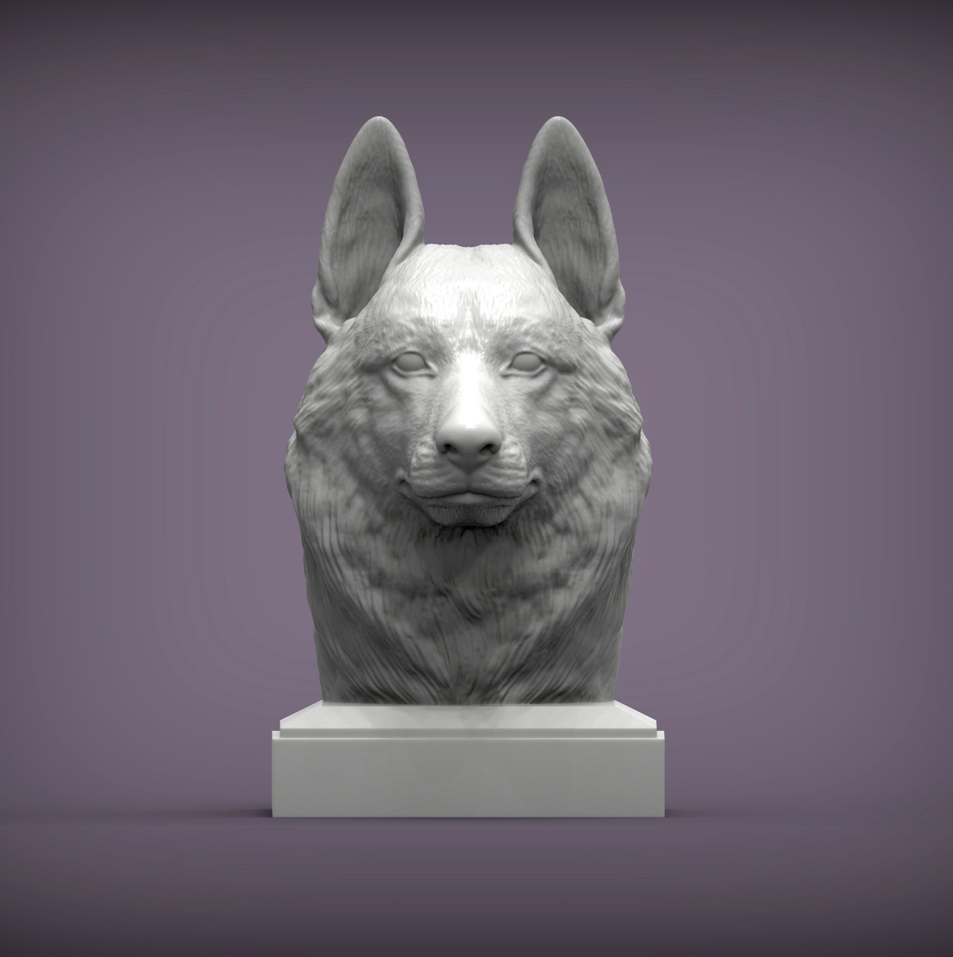 Czechoslovakian wolfdog bust 3D print model_2