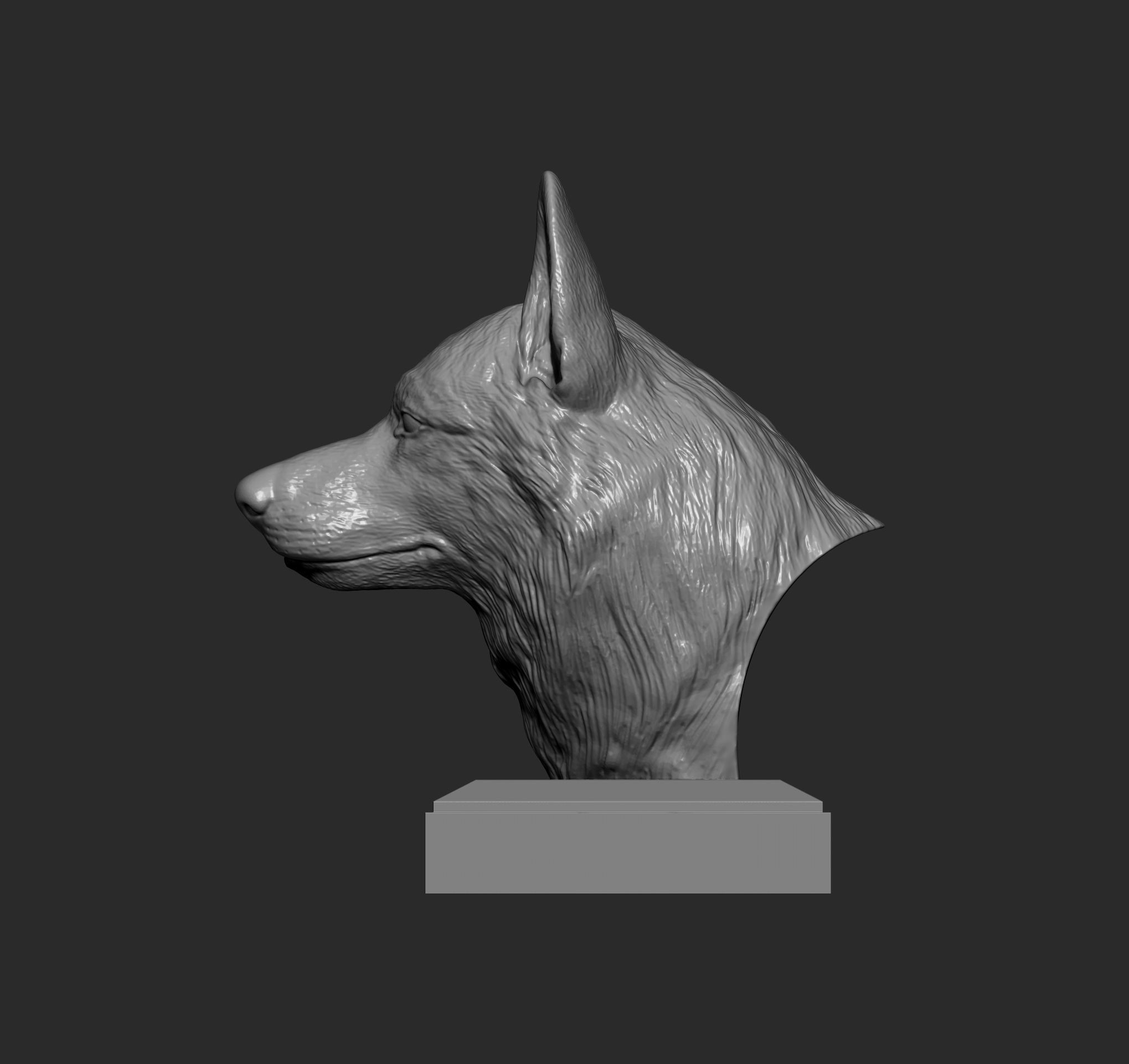 Czechoslovakian wolfdog bust 3D print model_4