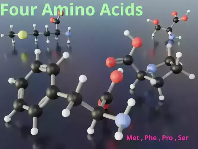 3D molecular model of amino acids 3D model