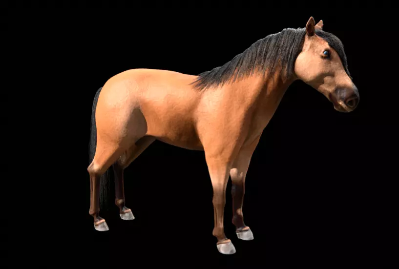 horse blender Free 3D model_0