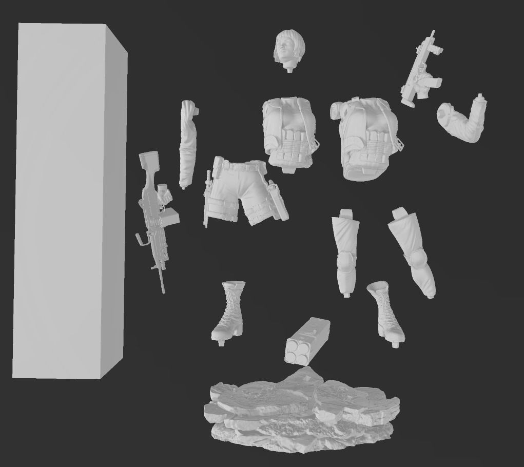 Alani Kelso Tom Clancy The Division SHD Agent 3D print model_5