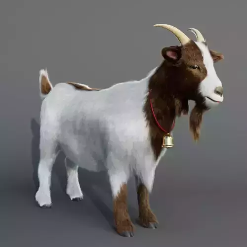Goat realistic