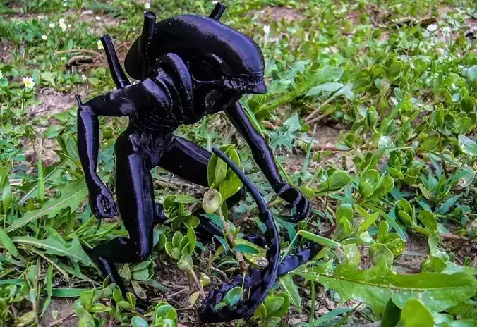 Alien - Xenomorph Warrior