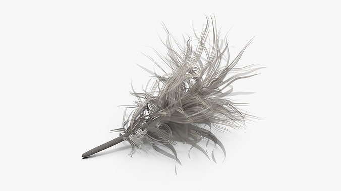 Canada Goose Feather
