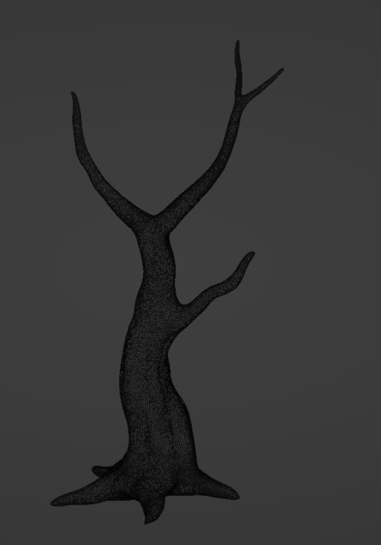 tree dry Free 3D model_2