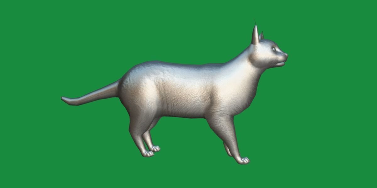 Caracal Wild Cat Low-poly 3D model_15