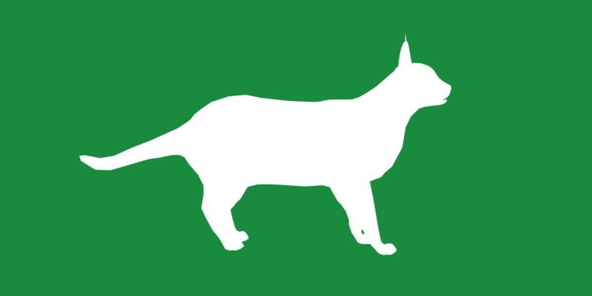 Caracal Wild Cat Low-poly 3D model_9