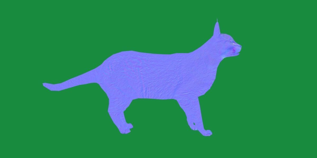 Caracal Wild Cat Low-poly 3D model_10