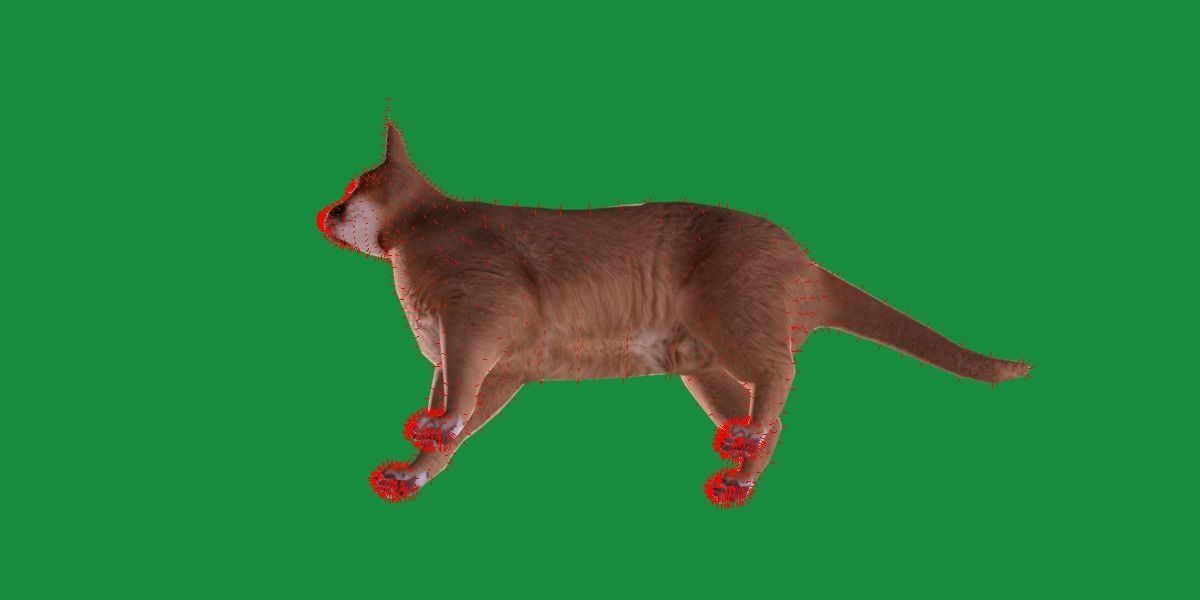 Caracal Wild Cat Low-poly 3D model_20