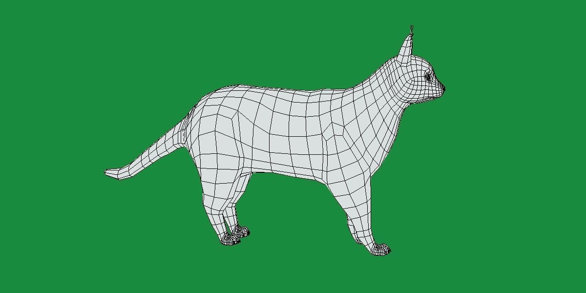 Caracal Wild Cat Low-poly 3D model_16