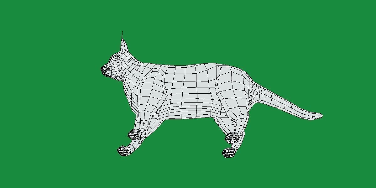 Caracal Wild Cat Low-poly 3D model_18